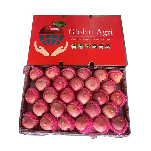 包装展示 fuji carton