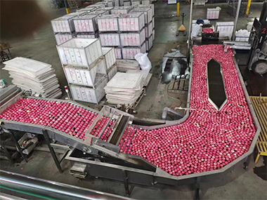 机器展示 Machine display