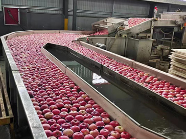 机器展示 Machine display